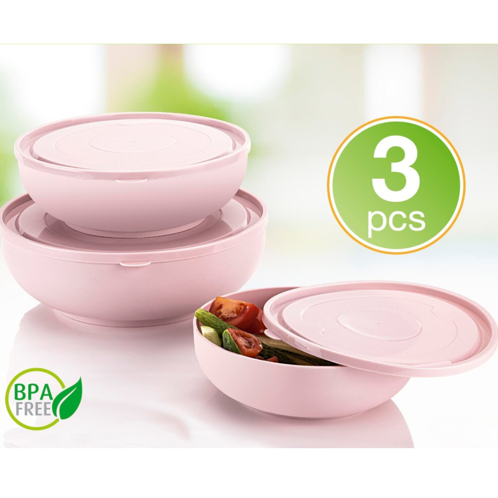 Δοχεία Φαγητού 3τμχ D199