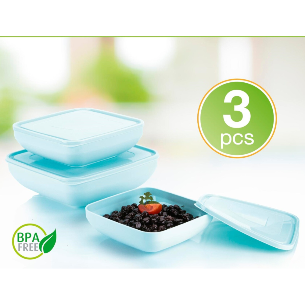 Δοχεία Φαγητού 3τμχ D241