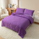 Μονό Σετ Κουβερτοπάπλωμα Softwell ΔΩΡΟ 1 Μαξιλαροθήκη Μωβ 160X220 SFQ831-PURPLE-1-S Μονό Σετ Κουβερτοπάπλωμα Softwell ΔΩΡΟ 1 Μαξιλαροθήκη Μωβ 160X220 SFQ831-PURPLE-1-S