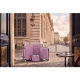 Σετ Βαλίτσες Ταξιδίου 4 Τεμαχίων από Ανθεκτικό ABS – Με Κλειδαριές TSA & Ρόδες 360° (14" 20'' 24'' 28'') Σάπιο Μήλο L01-PURPLE